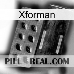 Xforman new03